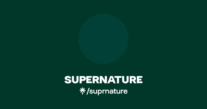 Supernature seeking Day-to-day Artist Manager